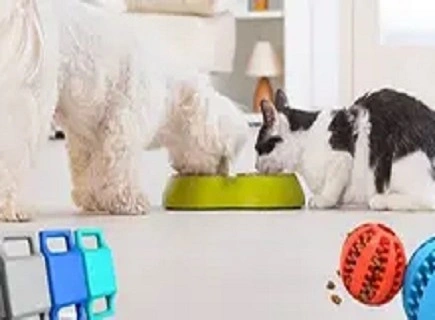 Elevating Pet Care with Innovative Silicone Pet Supplies